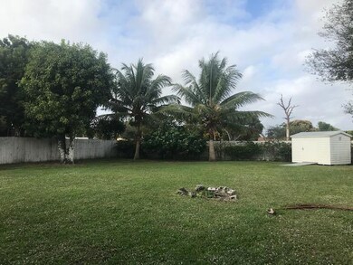 randolph back yard