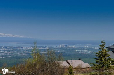 10200 Stroganof Dr Anchorage-large-003-V