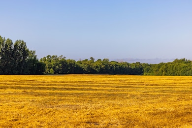 Tbd 430 Ave SW, Bygland, MN 56723 - photo 3