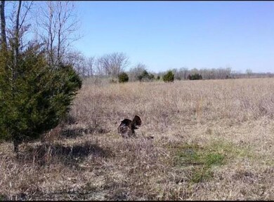 36707 Spring Valley Rd, Louisburg, KS 66053 - photo 3