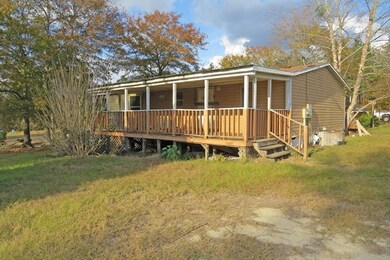 644 Jaybird Helena Rd, Helena, GA 31037 - photo 4