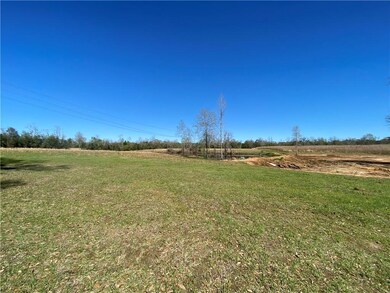 TBD Ruth Holton Rd, Amite, LA 70422 - photo 6