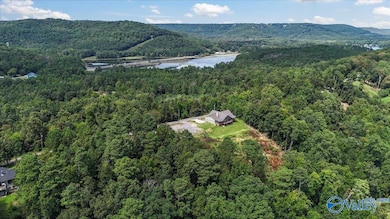 3151 Preston Island Cir, Scottsboro, AL 35769 - photo 4