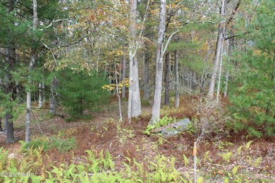 131 Water View Dr, Hawley, PA 18428 - photo 6