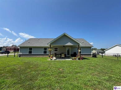 249 Shelbi Dr, Guston, KY 40142 - photo 4