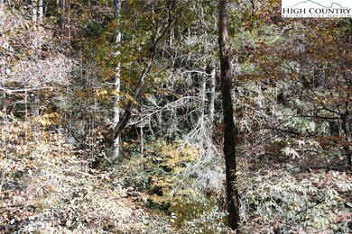 9700 Elk Creek Rd, Deep Gap, NC 28618 - photo 7