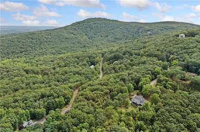 Drone / aerial view of a forest and a mountainous background