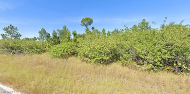 4207 E 16th St, Lehigh Acres, FL 33972 - photo 3