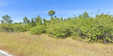 View of local wilderness
