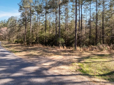 00_Progress_Trail_Lot_2-3