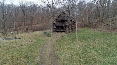 wolfs_11