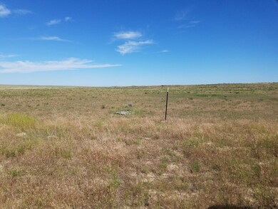TBD N Hwy 26, Blackfoot, ID 83221 - photo 5