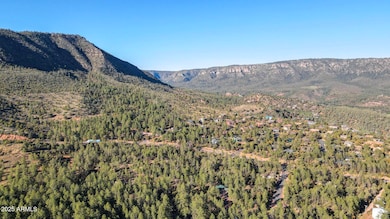 Lot 4 Pine Hollow Trail unit 4, Pine, AZ 85544 - photo 5