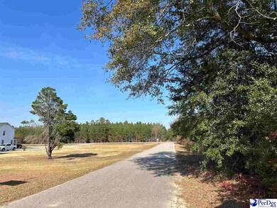 Lot 57 Berry Rd, Latta, SC 29565 - photo 4