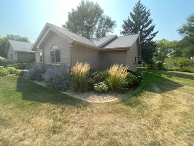 North side landscaping