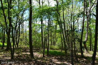 0 Shenandoah Mountain Rd unit 1000213733, Mathias, WV 26812 - photo 4