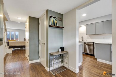 Front entry into kitchen