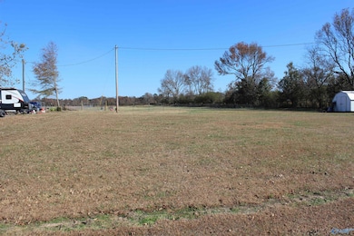 150 5th St NW, Sylvania, AL 35988 - photo 3