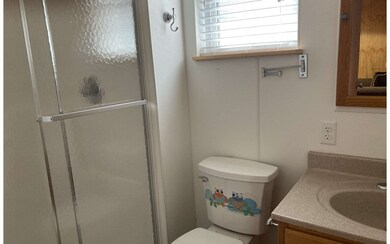 765 SW Santa fe Dr, Fort White, FL 32038 - photo 7