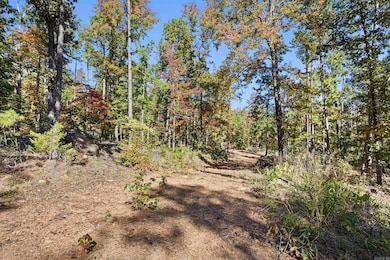 0 Arkansas 155, Dardanelle, AR 72834 - photo 6