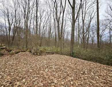 Illinois Ln Tract (27)