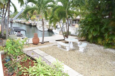 back yard