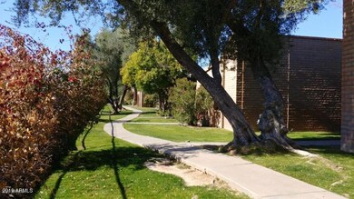 lush paths
