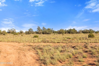 871 N Northland Rd unit D, Williams, AZ 86046 - photo 5