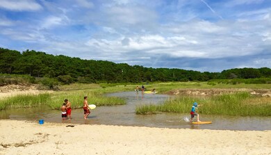 carlson6 summer