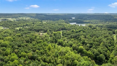 0 Dogwood Ridge, Cub Run, KY 42729 - photo 4