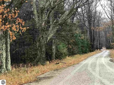 0 N Lighthouse Point Rd unit 1882059, Northport, MI 49670 - photo 3