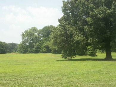 7 Braden Ln, Mason, TN 38049 - photo 4