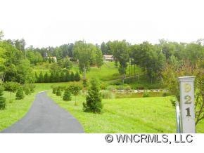 921 Old Leicester Hwy, Asheville, NC 28806 - photo 2