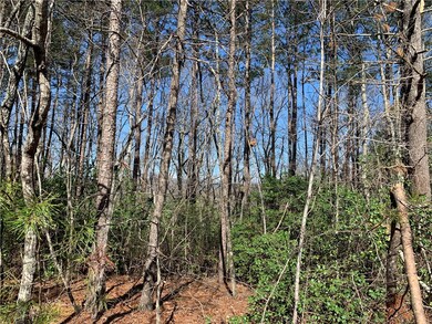 00 Ridge Rd, Tamassee, SC 29686 - photo 5