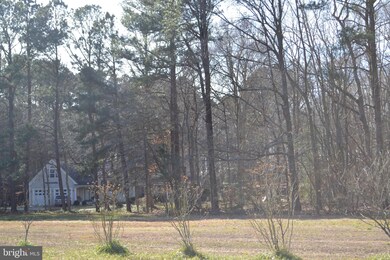 3832 Margits Ln, Trappe, MD 21673 - photo 5