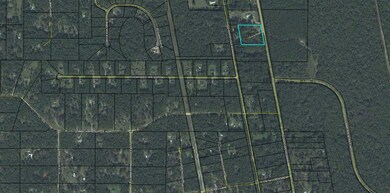 xx C J Loop, Crawfordville, FL 32327 - photo 2