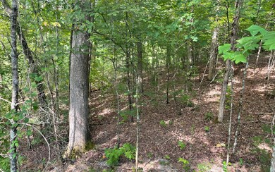 Additional View