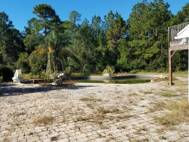 3571 County Road 218 unit A, Middleburg, FL 32068 - photo 6