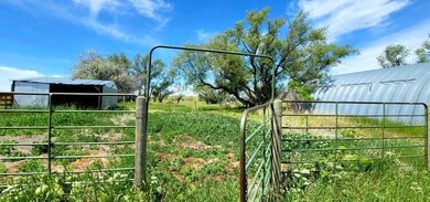 Horse area