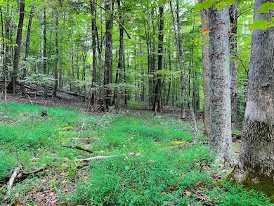 47/7 Do Rd unit Lot WP001, Harrisville, WV 26362 - photo 5