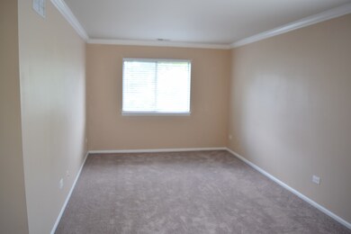 652 Mallard Ct unit D2, Bartlett, IL 60103 - photo 7