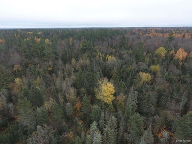 19495 S Nestoria Rd, Michigamme, MI 49861 - photo 7