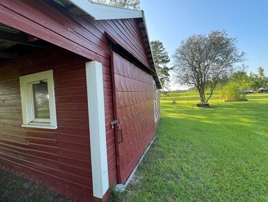 1168 Mitchell Road (112 Acres), Meigs, GA 31765 - photo 6