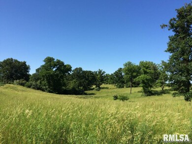 0 Illinois Route 78, Jacksonville, IL 62650 - photo 2