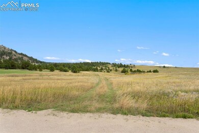 Grass driveway from Atlas Loop