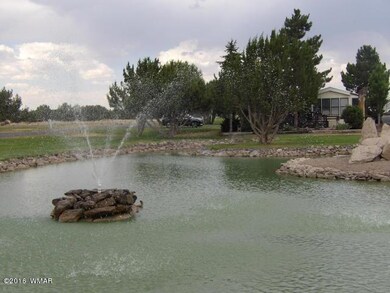 8233 Caddie's Way Lot #215 Way, Show Low, AZ 85901 - photo 6