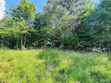 00 Hwy Bb, Fairdealing, MO 63939 - photo 5