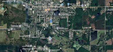 644 S Duval Ave, Madison, FL 32340 - photo 3