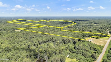 1761 Parks Place Rd, Como, MS 38619 - photo 2