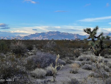 3503 S Lone Ranger Rd unit 3503, Yucca, AZ 86438 - photo 5
